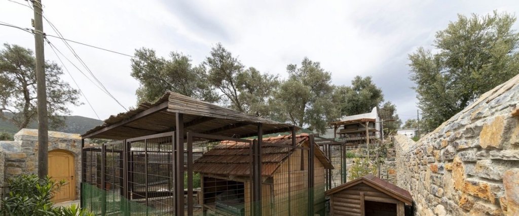 Бодрум: Bodrum Yalıçiftlik'de Villa Bd482