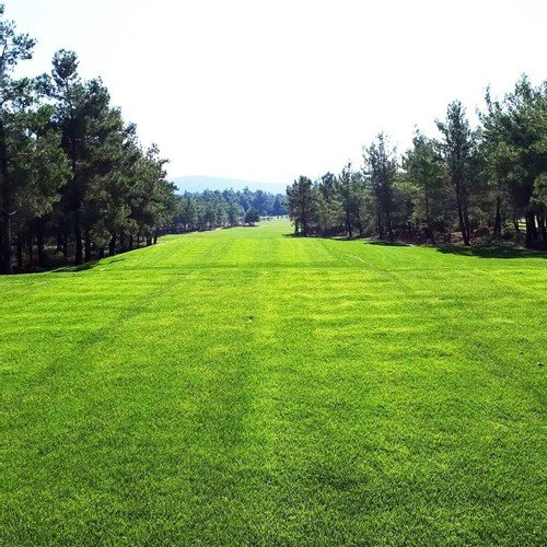 Бодрум: Bodrum Golf Aparts