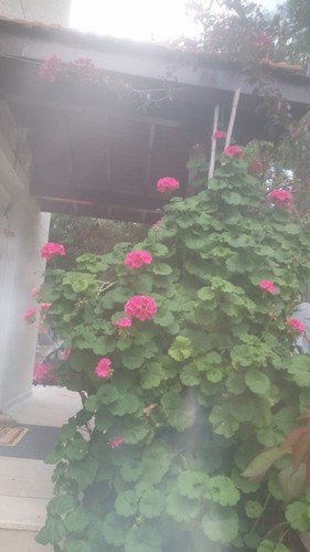 Фетхие: Gocek Villa Haybe