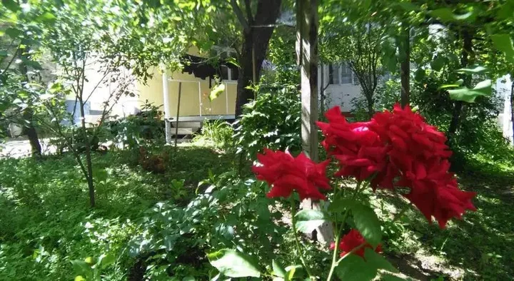 Боржоми: Guest House Marta