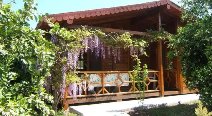 Чиралы: Windmolen Apart Bungalows