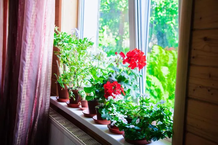Каменномостский: Guesthouse Zhili-Byli