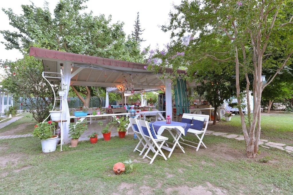 Чиралы: Narcicegi Hotel