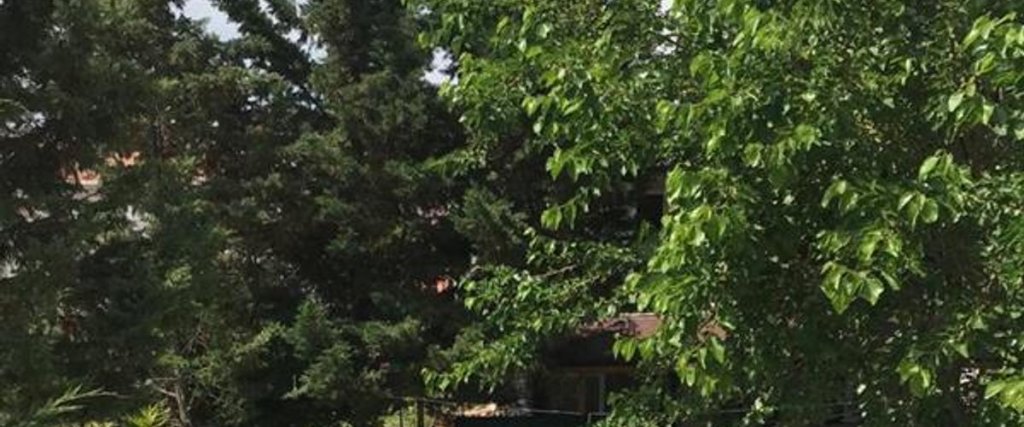 Шаркёй: Midis Park Otel