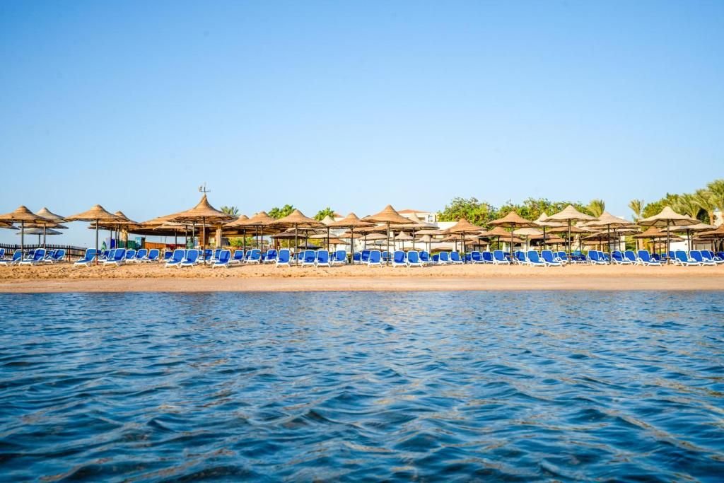 Ivy Cyrene Island Resort — фото 1