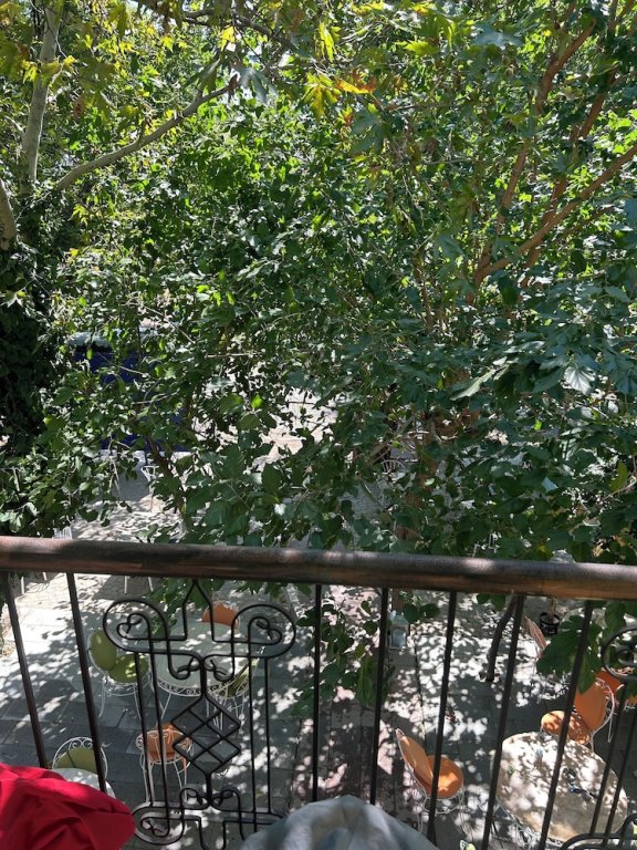 Дикили: Asclepius Boutique Hotel & Cafe
