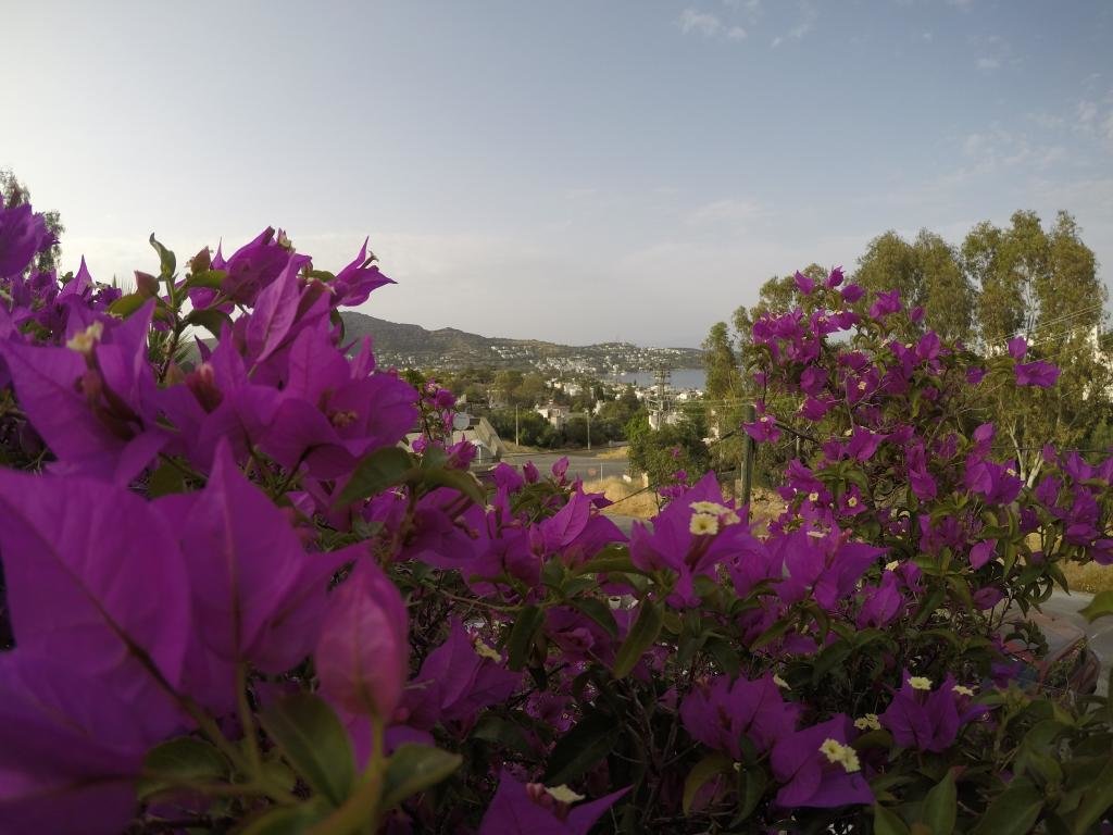 Гельтюркбюкю: Panorama Hotel Turkbuku