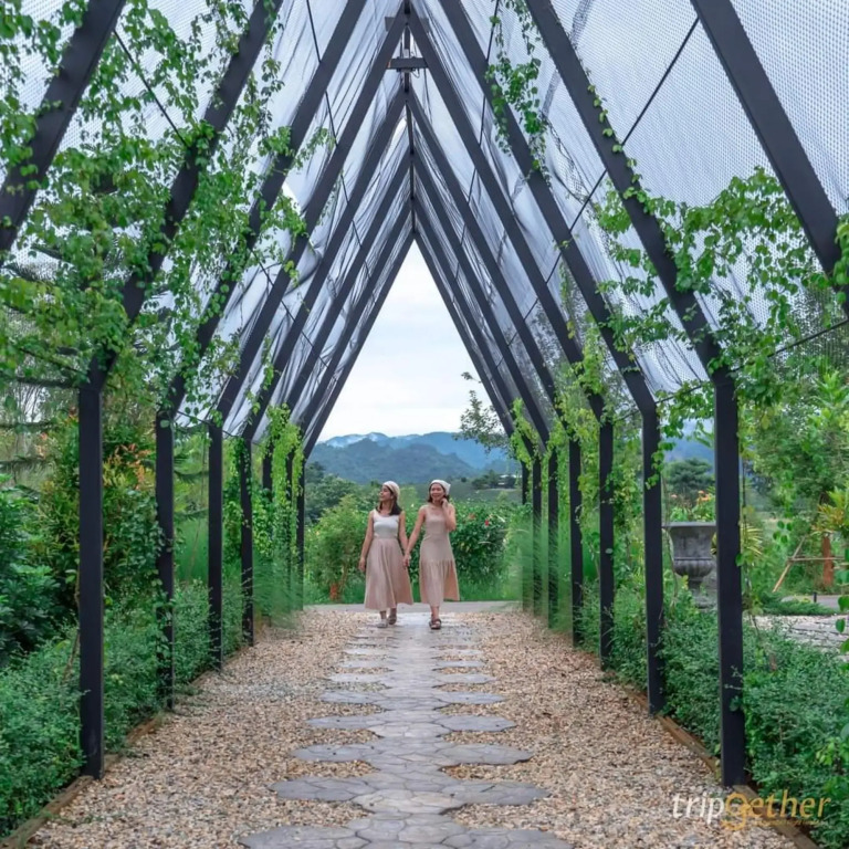 Mae Chan: Oxy Resort