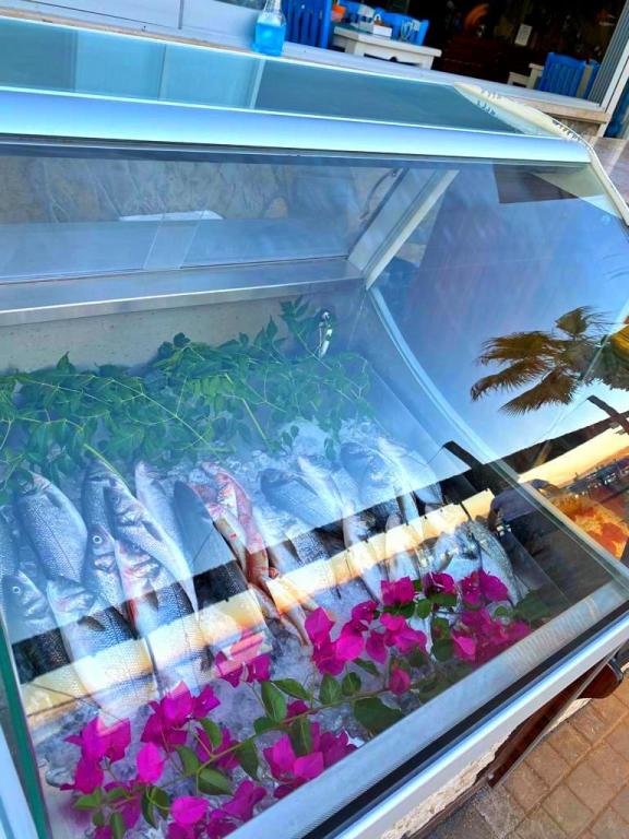 Бодрум: Kemanci Suites Restaurant & Beach