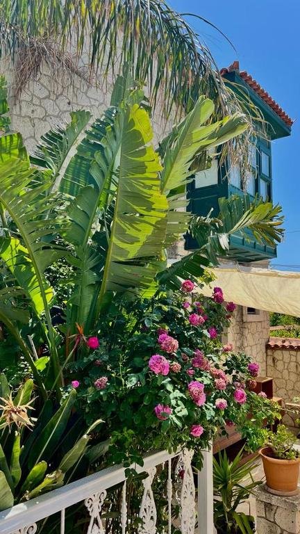 Чешме: Alaçatı Molino Hotel