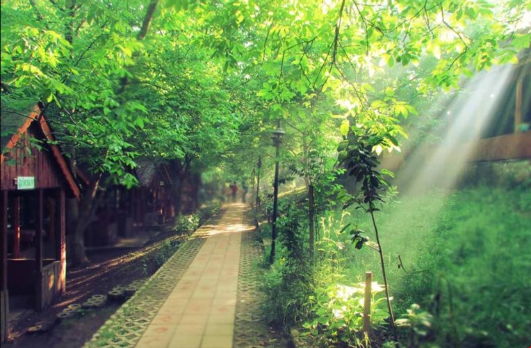 Башискеле: Gazinin Yeri Camping Alabalik Tesisleri Yuvacık