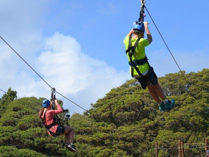 Башискеле: Gazinin Yeri Camping Alabalik Tesisleri Yuvacık