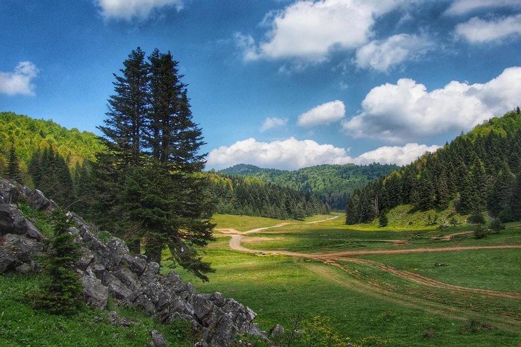 Башискеле: Gazinin Yeri Camping Alabalik Tesisleri Yuvacık
