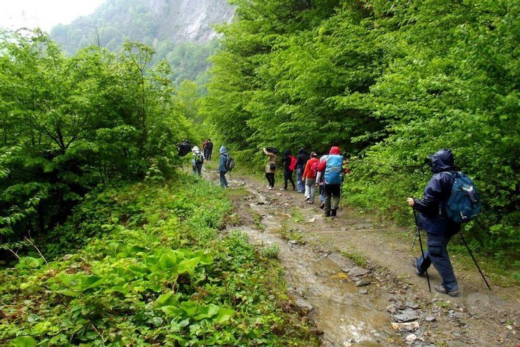 Башискеле: Gazinin Yeri Camping Alabalik Tesisleri Yuvacık