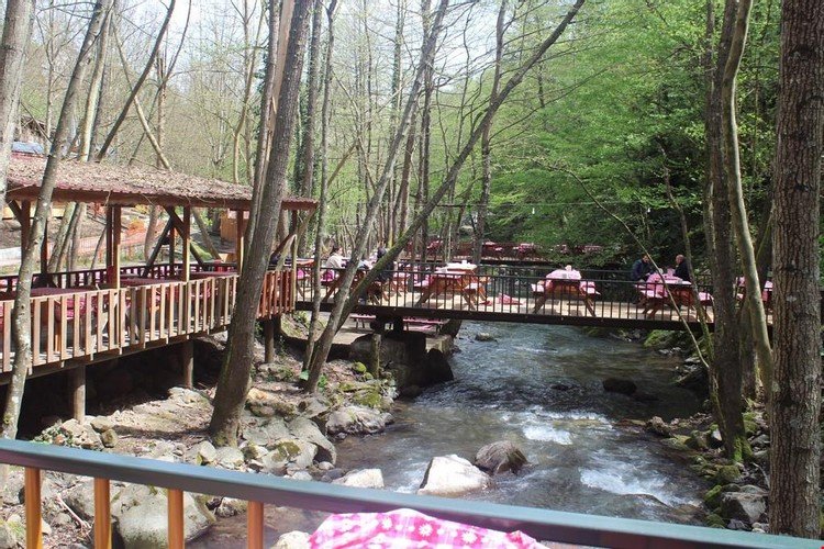 Башискеле: Gazinin Yeri Camping Alabalik Tesisleri Yuvacık