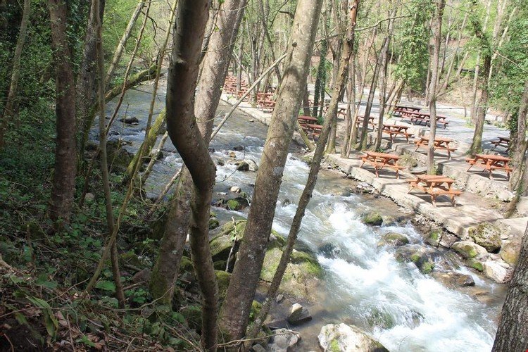 Башискеле: Gazinin Yeri Camping Alabalik Tesisleri Yuvacık