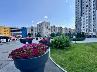 Санкт-Петербург: Квартира InRoomSPb Просвещения 15