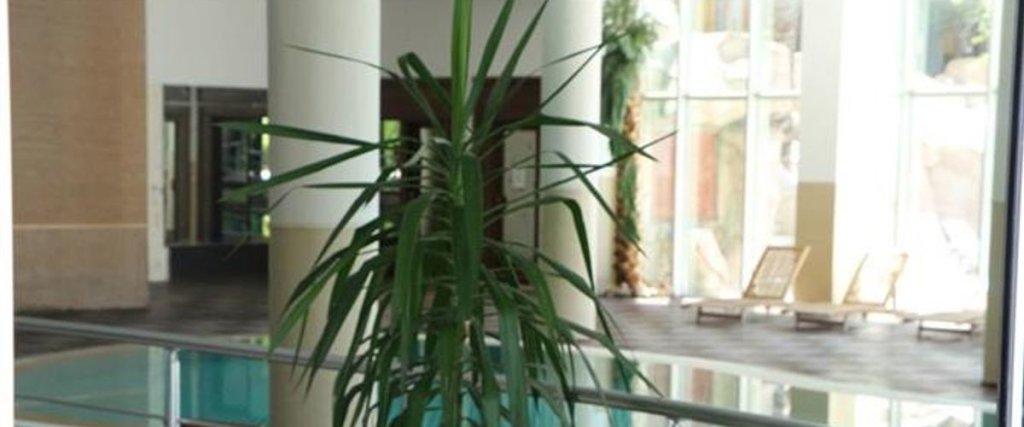 Согучак: HLC Tatil Köyü
