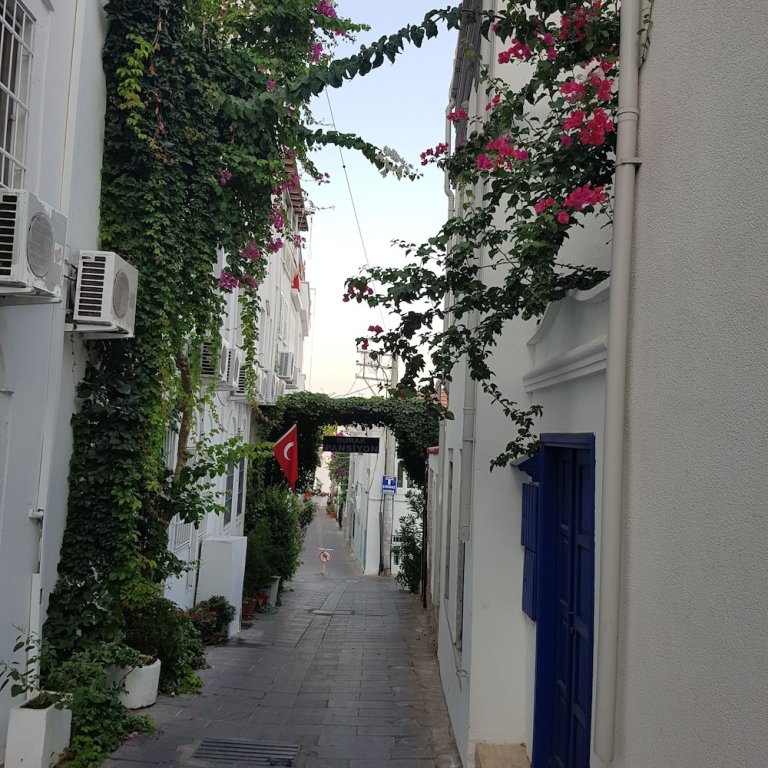 Бодрум: Durak Villa Hostel