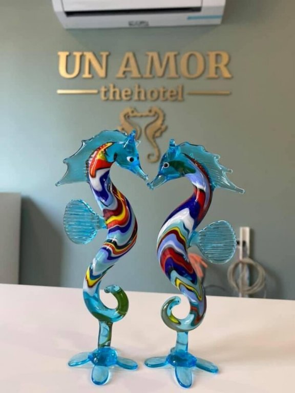 Каш: Un Amor The Hotel