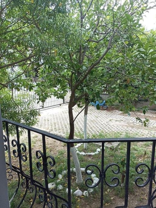 Denize 10 dk, ağaçlar içerisinde muhteşem villa — фото 5