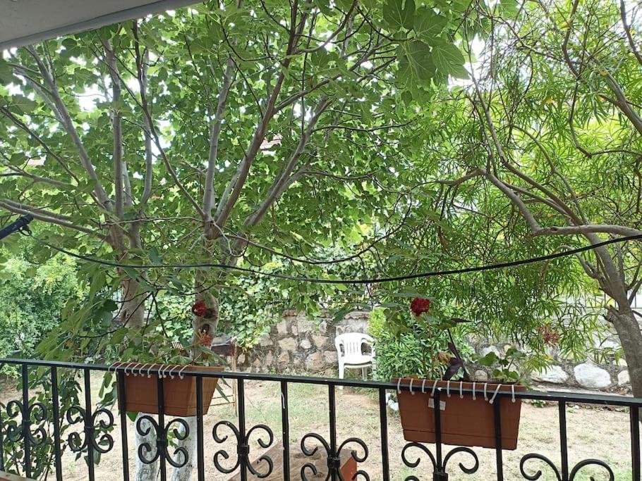 Бельдиби: Denize 10 dk, ağaçlar içerisinde muhteşem villa
