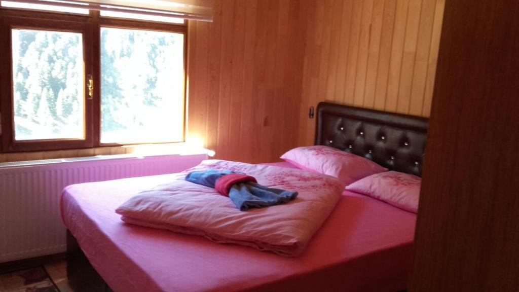 Узунгёль: Helal Apart Pension