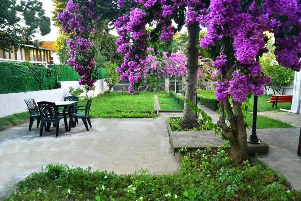 Бююкада: Rasim Bey Mansion, Detached House and Studio House