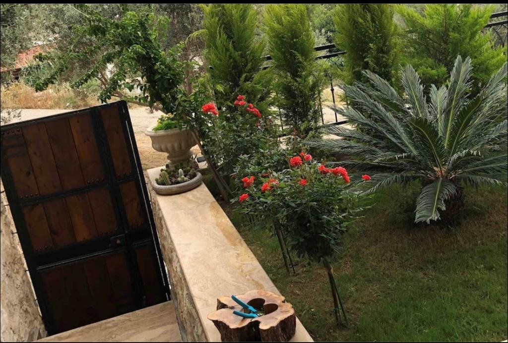 Датча: Sirin Luks Daire / Merkez Huzur Yuvası 3+1