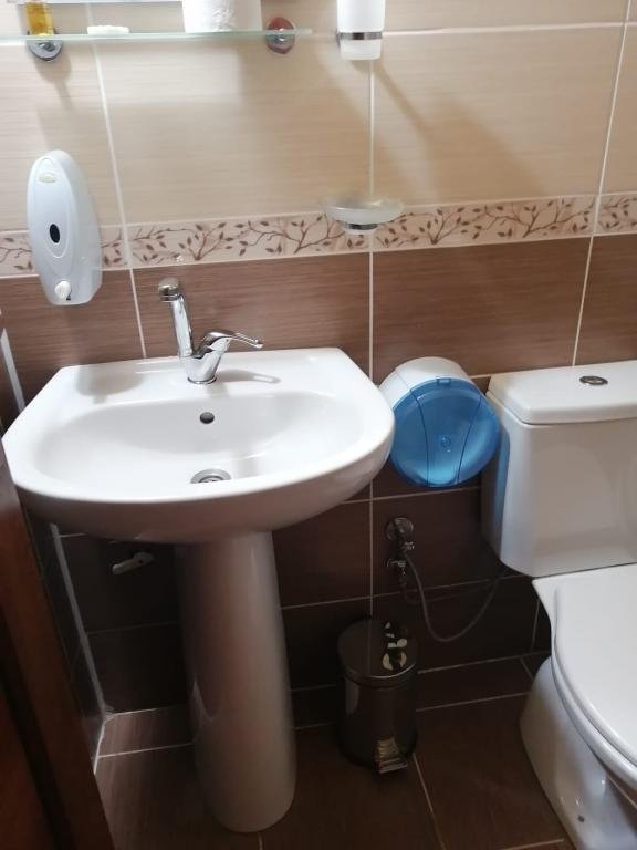 Чамлыхемшин: Ayder Petek Otel