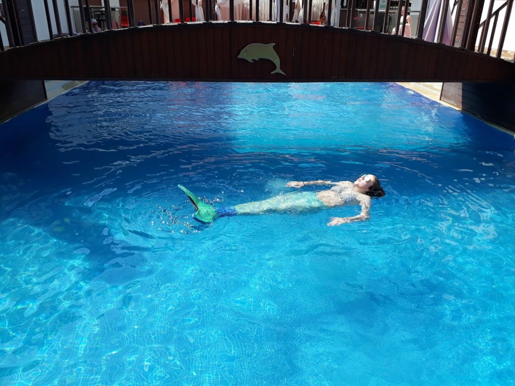 Бодрум: Dolphin Apart