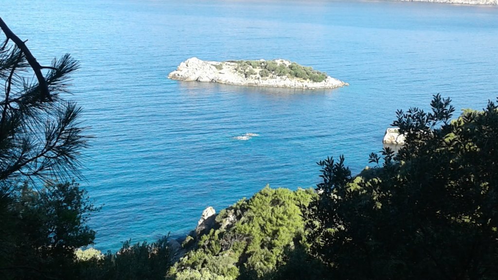 Бодрум: Dolphin Apart