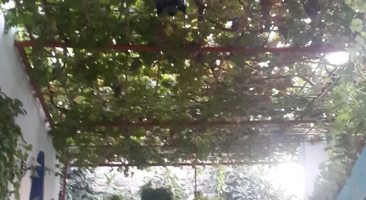 Бодрум: Ağar Aile Pansiyonu