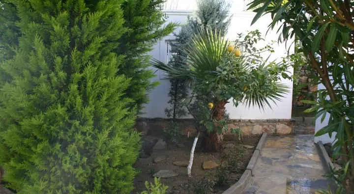 Бодрум: Luxury Villa Tilev