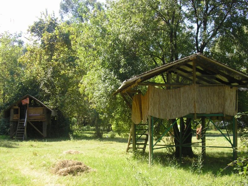 Текирова: Sundance Camp