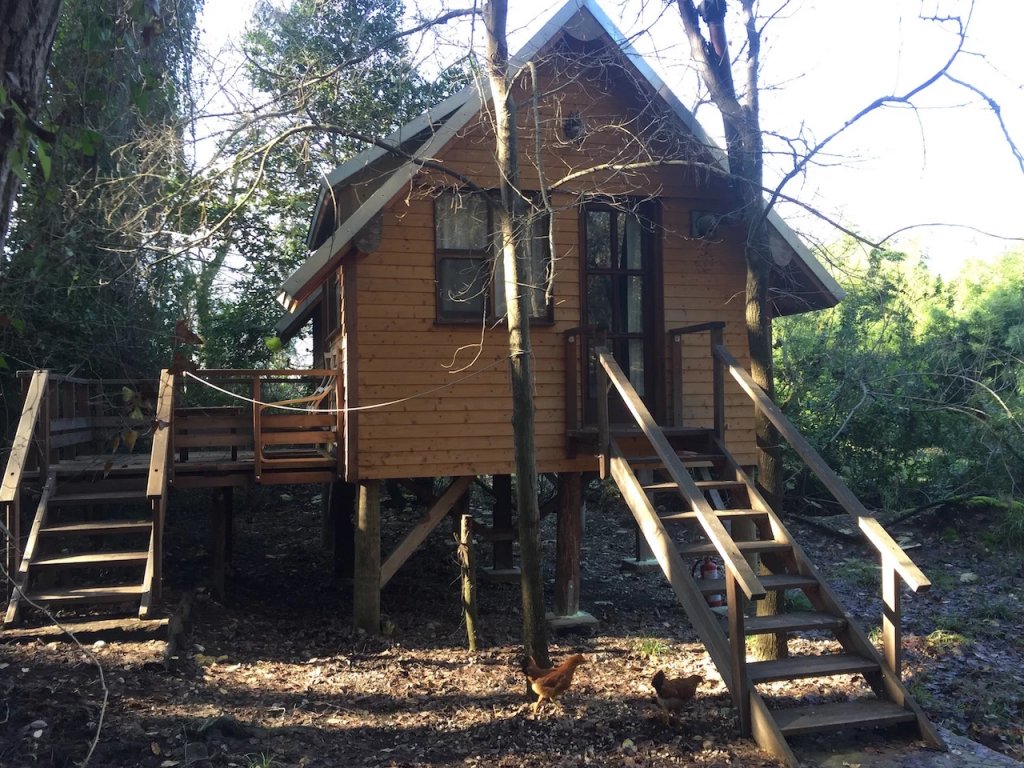 Текирова: Sundance Camp