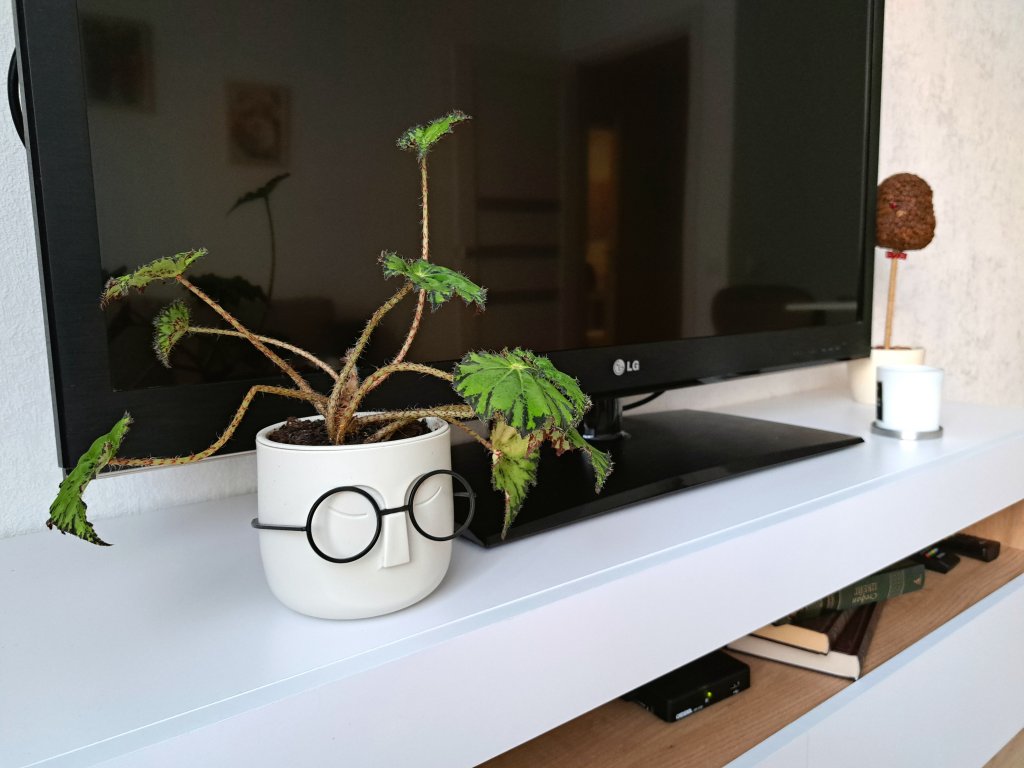 Нижний Новгород: Квартира Комфортная евродвушка в новом ЖК