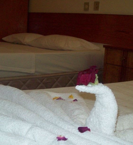 Дидим: Goc Hotel Altinkum