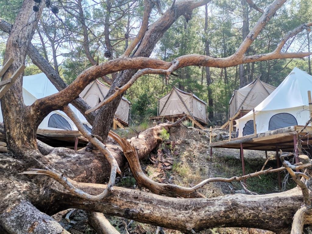 Кумлуджа: Yalin Ayak Olympos