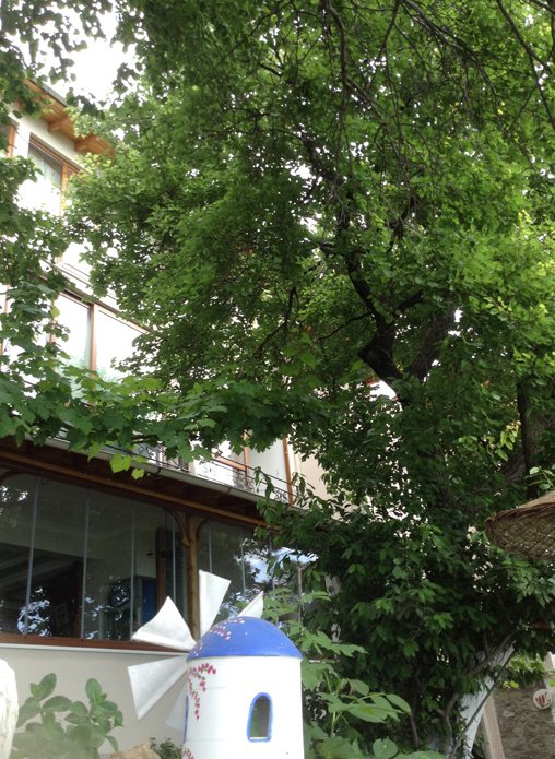 Мармара: Hotel Mola Marmara Adasi