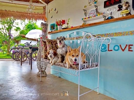 Банрай: Sentang at Love Resort