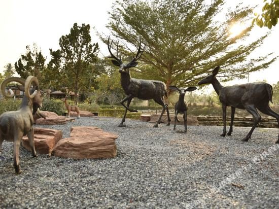 Пак-Чонг: Morocco1 @Khaoyai