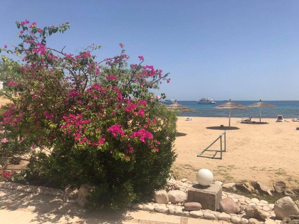 Хургада: Apartment in Hurghada 174