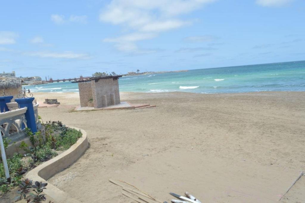 Александрия: Maamoura Beach 1