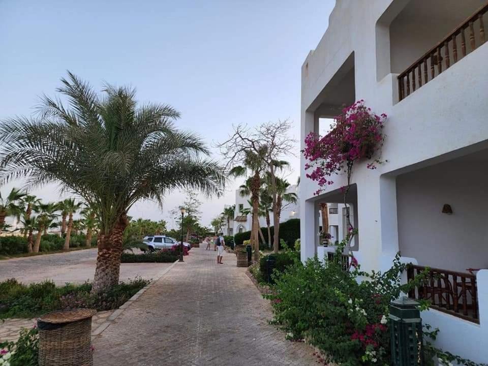 Шарм-эш-Шейх (Шарм-эль-Шейх): Best studio in Delta Sharm