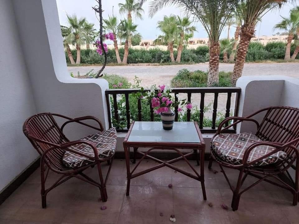 Шарм-эш-Шейх (Шарм-эль-Шейх): Best studio in Delta Sharm