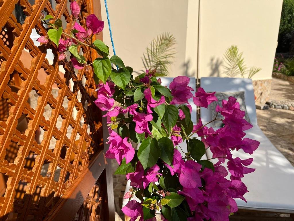 Хургада: Green Garden Resort Poolside Executive Villa 127