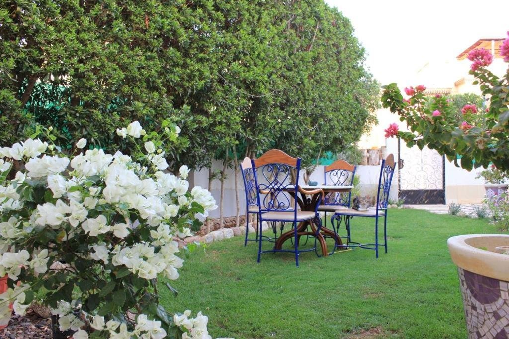 Шарм-эш-Шейх (Шарм-эль-Шейх): Villa D60