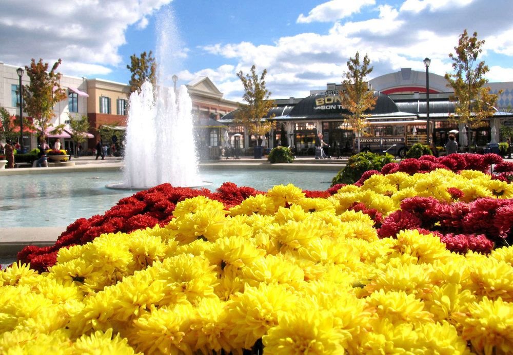 Богазкале: Springhill Suites Columbus Airport Gahanna