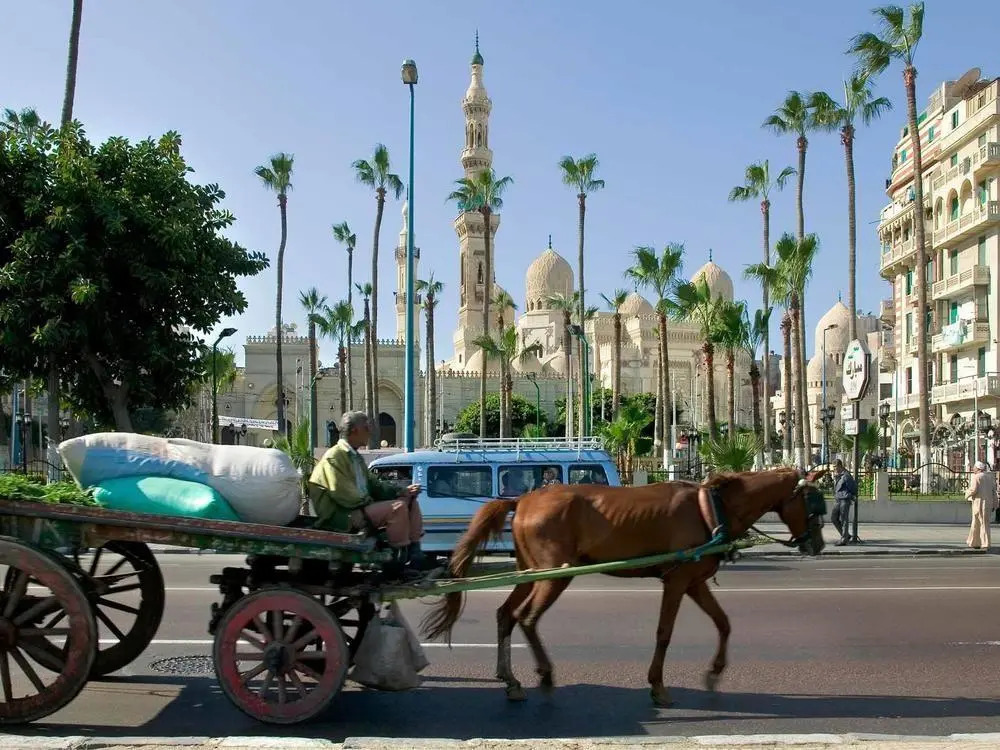 Александрия: Mercure Alexandria Romance